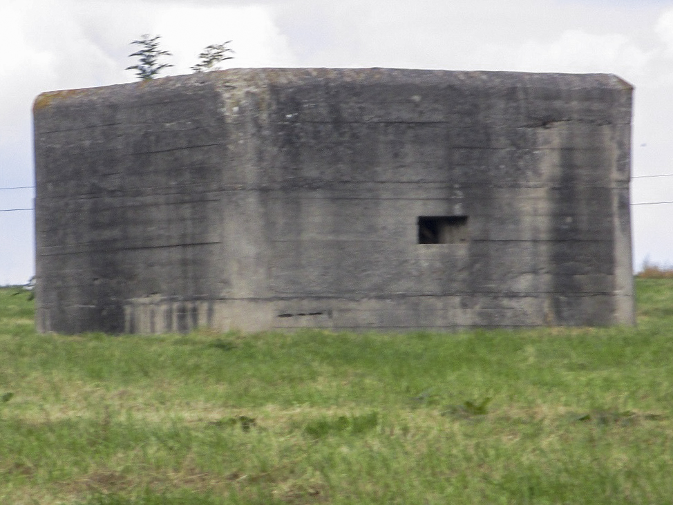 Ligne Maginot - BEF 215 - DRONKAERT Sud 1 (Blockhaus pour arme infanterie) -  - Smardz Félix