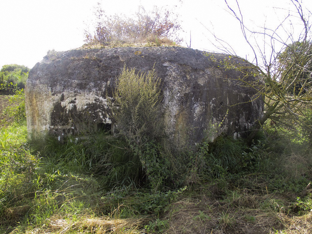 Ligne Maginot - BEF 233 - Le PURGATOIRE Nord 1 (Blockhaus pour arme infanterie) -  - Smardz Félix