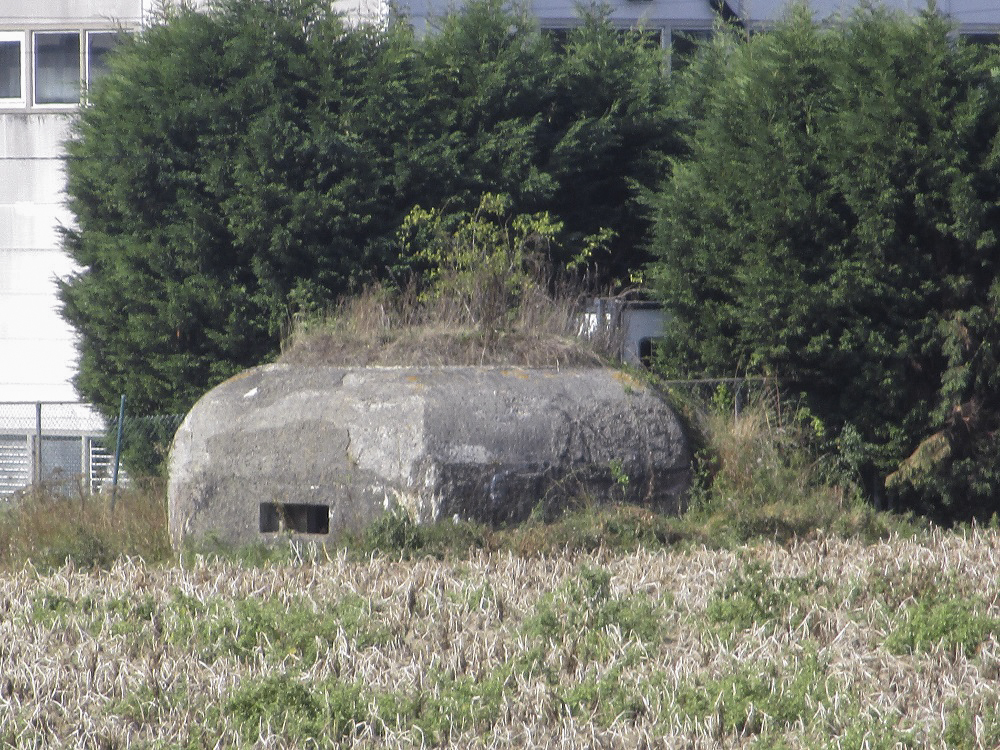 Ligne Maginot - BEF 241 - LE PURGATOIRE SUD OUEST - (Blockhaus pour arme infanterie) -  - Smardz Félix