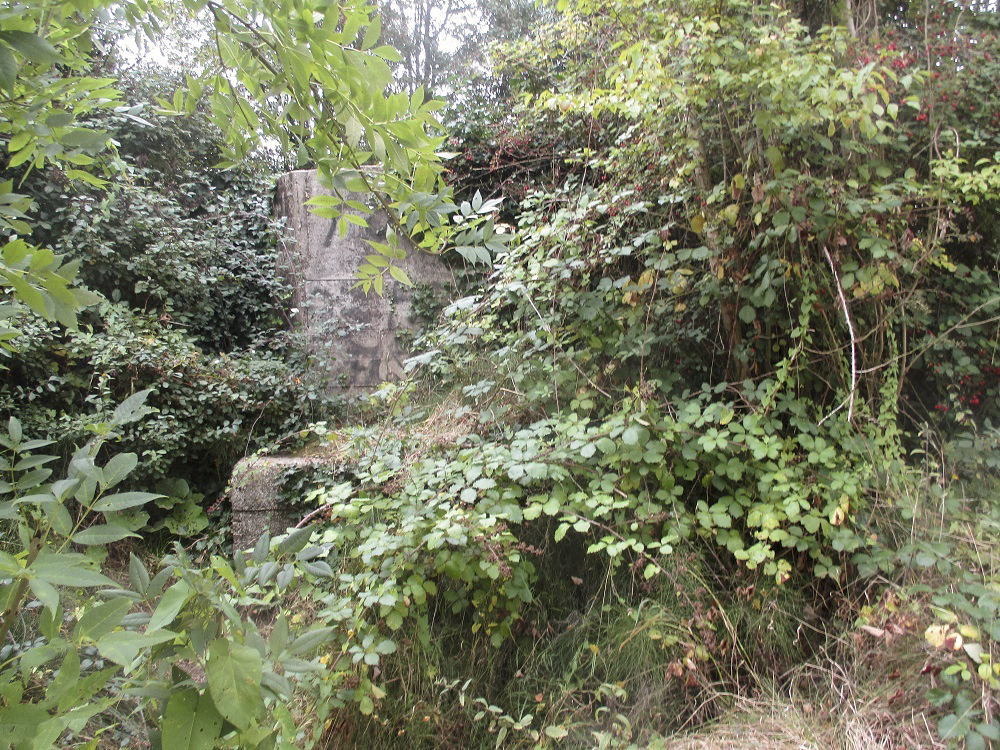 Ligne Maginot - BEF 240 - Les CANDRELEUX (Blockhaus pour arme infanterie) - Encerclé de broussailles et arbustes - Smardz Félix