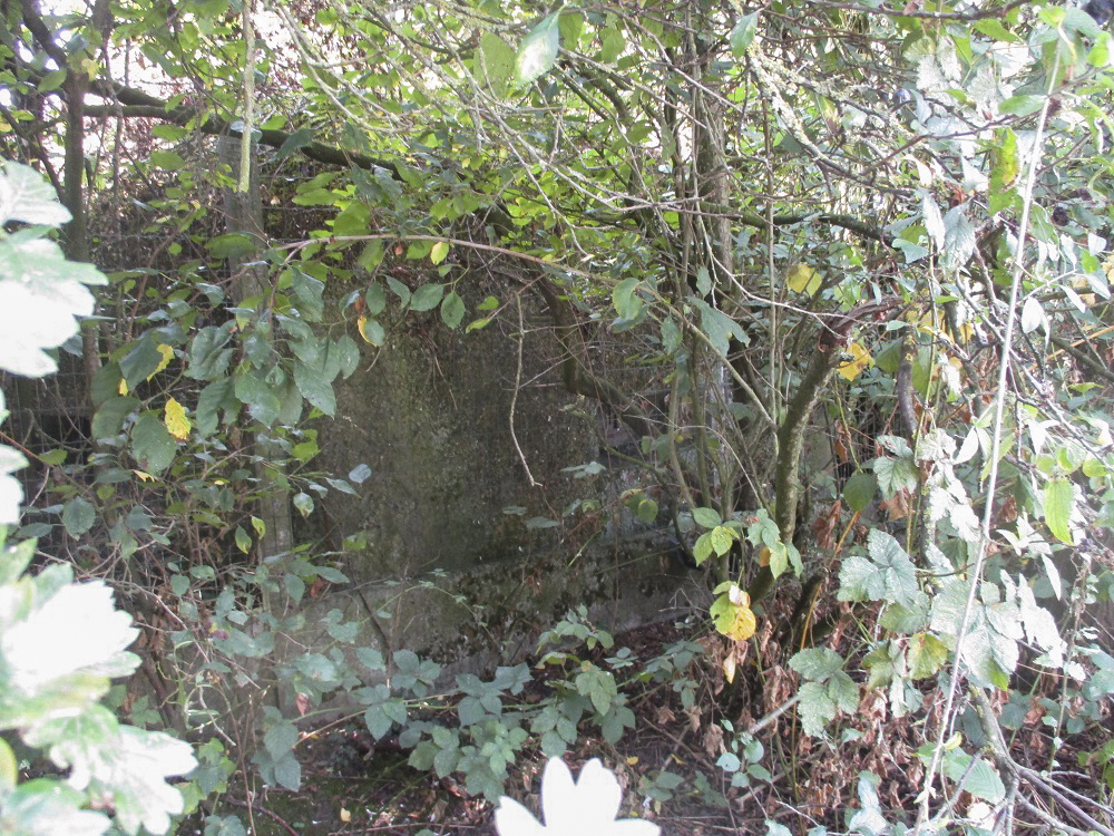 Ligne Maginot - BEF 238 - Le PURGATOIRE Centre (Blockhaus pour arme infanterie) -  - Smardz Félix