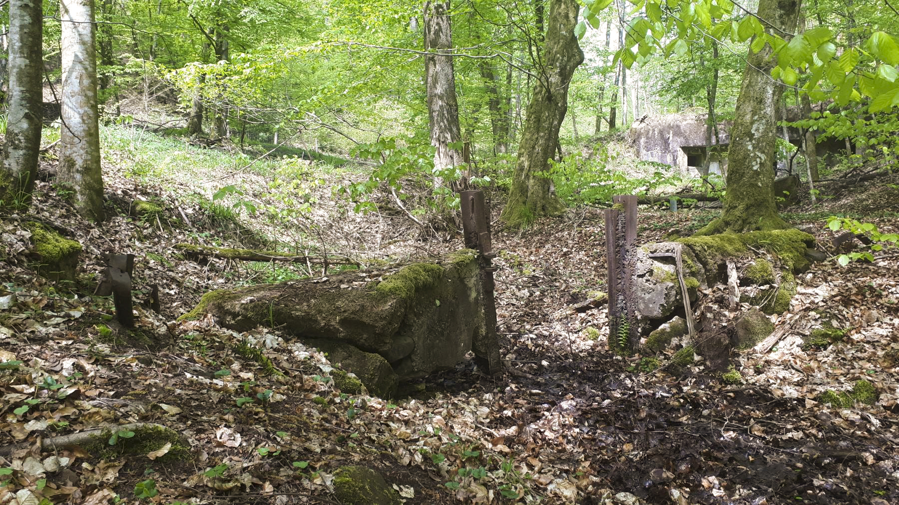 Ligne Maginot - TRAUTBACH OUEST - (Blockhaus pour arme infanterie) - Vestige d'un abri devant le blockhaus - Gregory Fuchs