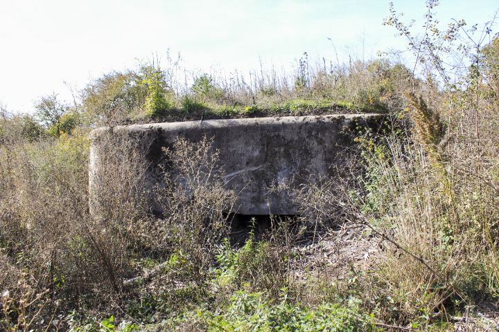 Ligne Maginot - M11B - USINE ELECTRIQUE 4 - (Blockhaus pour arme infanterie) - L’entrée du bloc est aujourd’hui inaccessible - jin jac