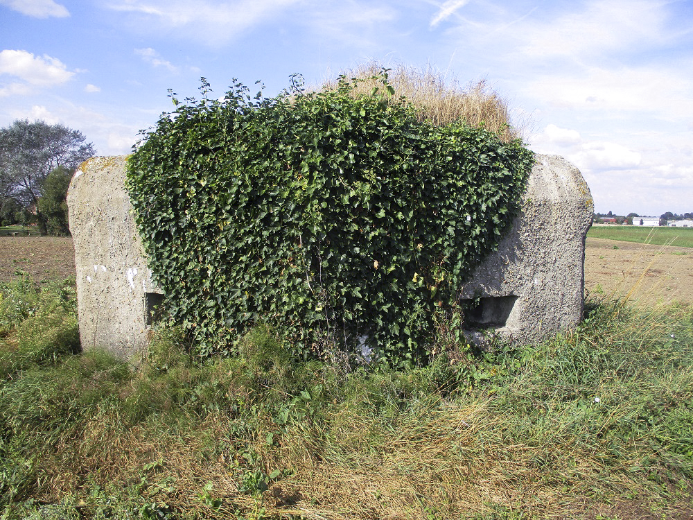 Ligne Maginot - BEF 256 - LE PURGATOIRE EST - (Blockhaus pour arme infanterie) -  - Smardz Félix