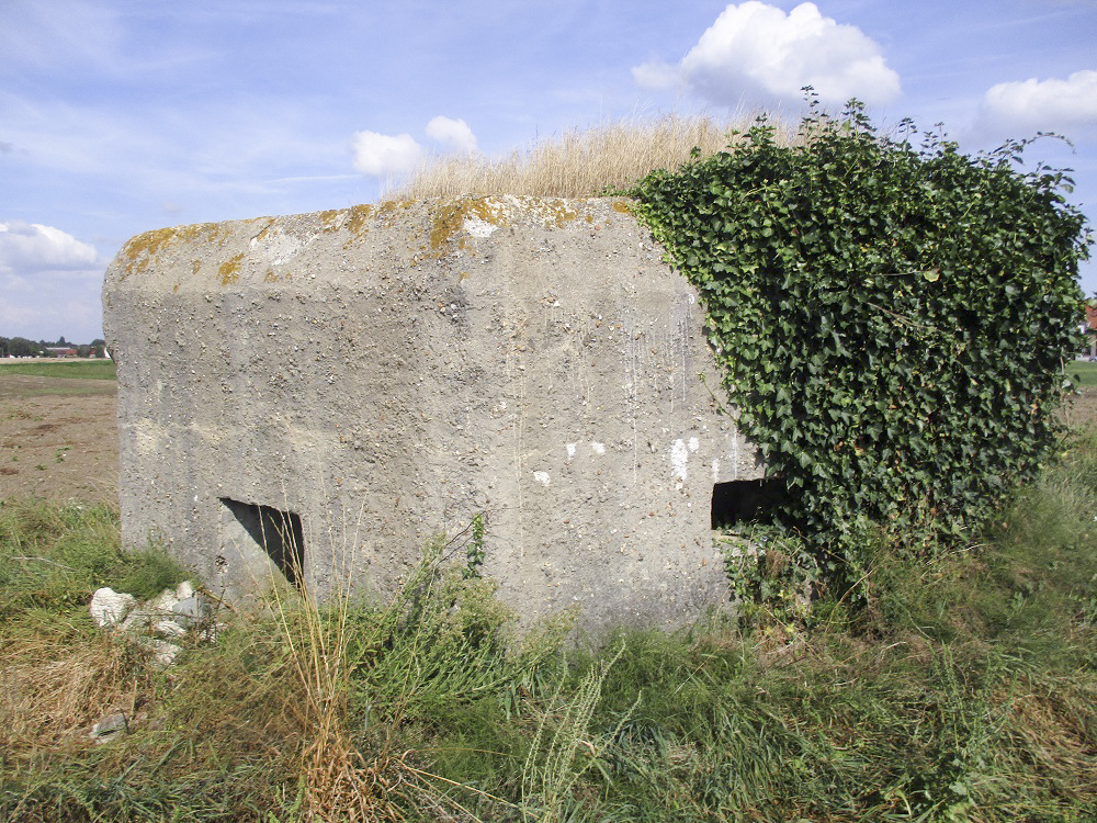 Ligne Maginot - BEF 256 - LE PURGATOIRE EST - (Blockhaus pour arme infanterie) -  - Smardz Félix