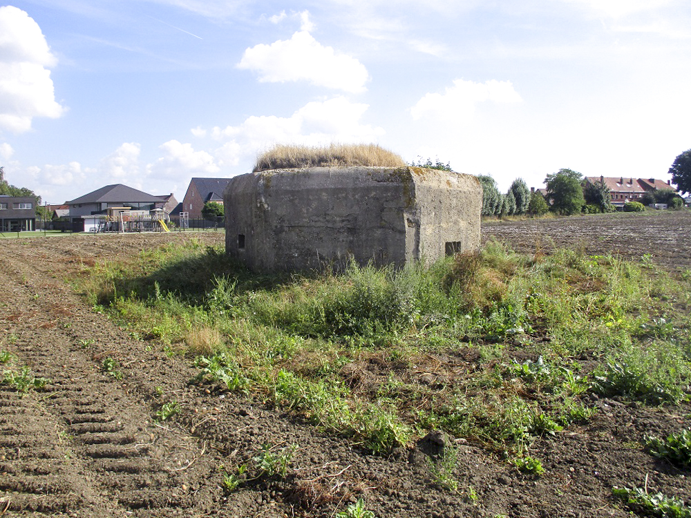 Ligne Maginot - BEF 256 - LE PURGATOIRE EST - (Blockhaus pour arme infanterie) - Le PURGATOIRE Est (BEF) dans son environnement. - Smardz Félix