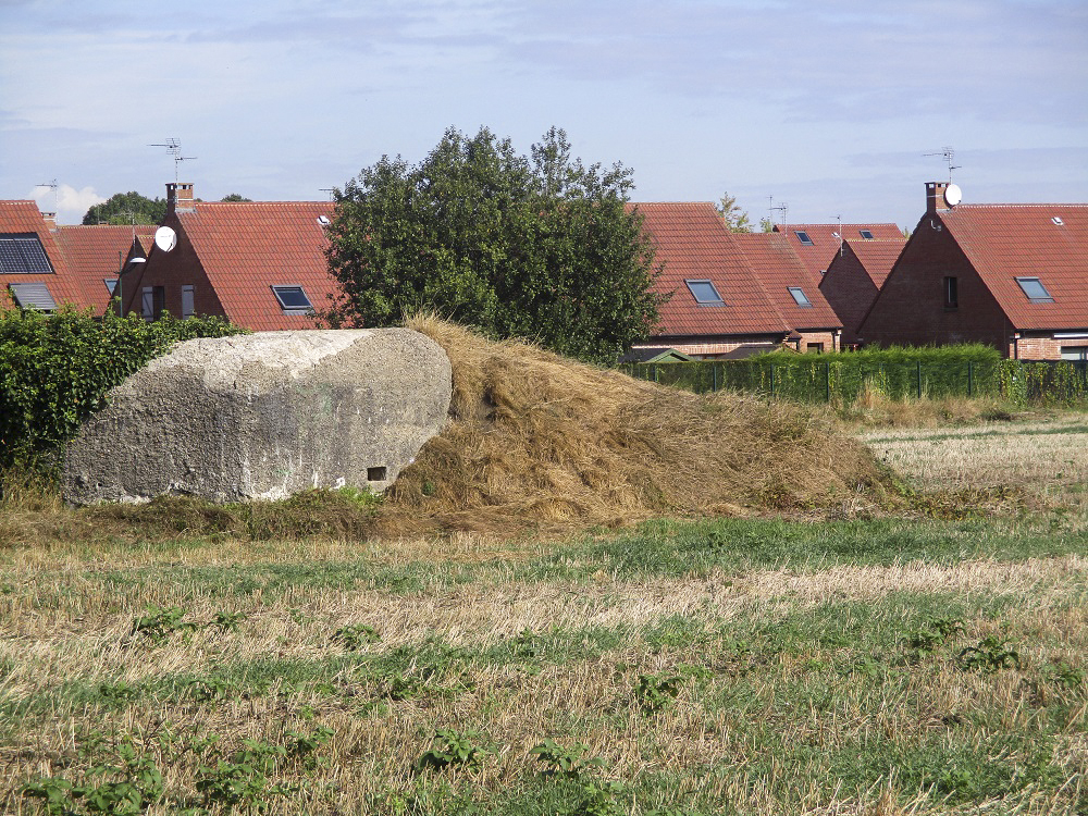 Ligne Maginot - BEF 264 - RISQUONS-TOUT OUEST - (Blockhaus pour arme infanterie) - Blockhaus Risque-tout Ouest situé dans son environnement au milieu d'un champ. - Smardz Félix