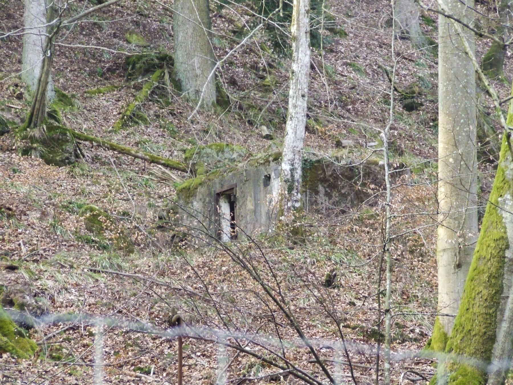 Ligne Maginot - M10 - NONNENHARDT EST 3 - (Blockhaus pour arme infanterie) - L'entrée vu depuis le chemin en contre-bas - STENGER Mathieu