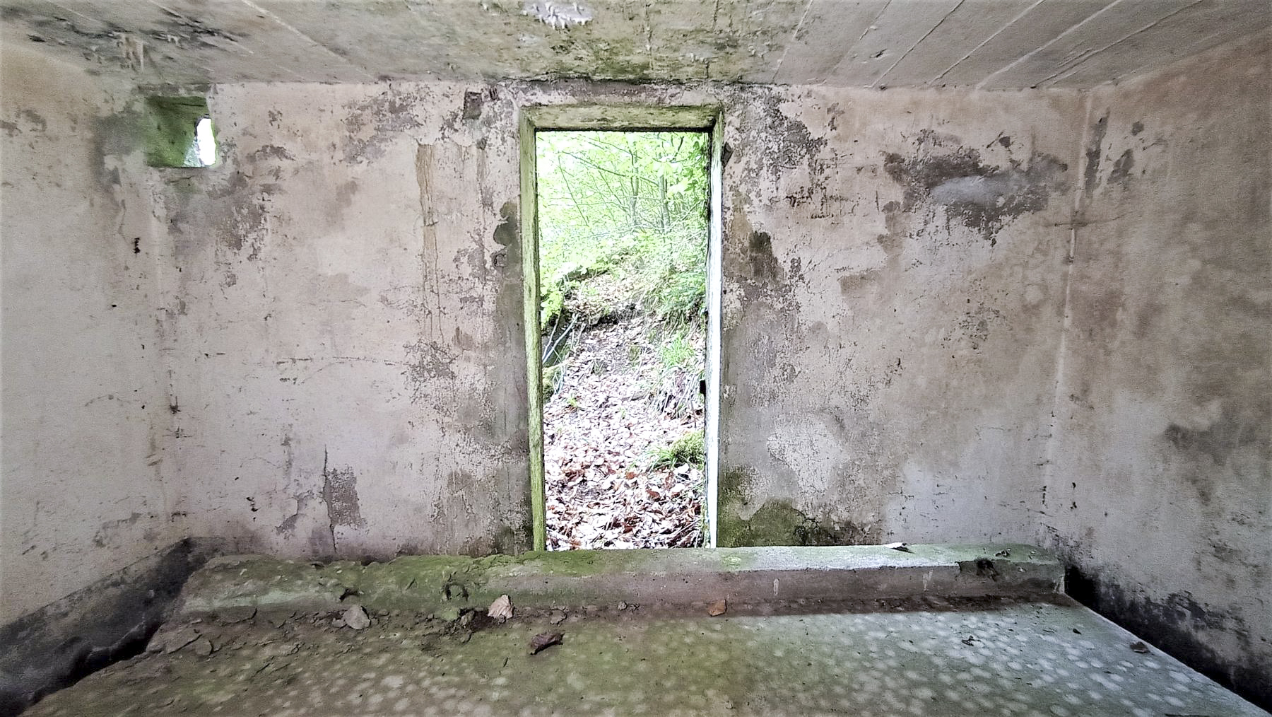 Ligne Maginot - M10 - NONNENHARDT EST 3 - (Blockhaus pour arme infanterie) - L'entrée - Baptiste GAUDIN