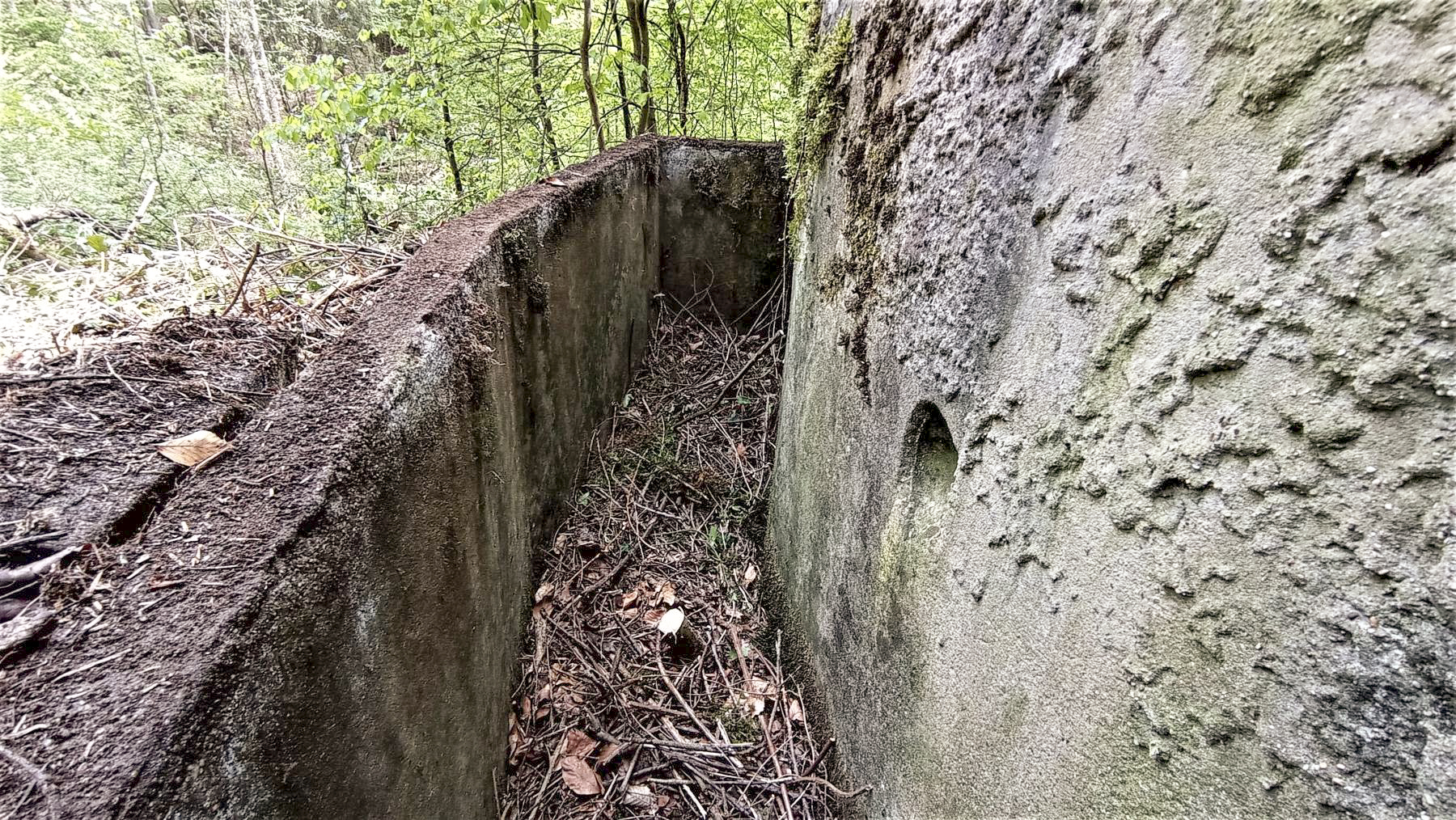 Ligne Maginot - M10 - NONNENHARDT EST 3 - (Blockhaus pour arme infanterie) - La fosse à douille - Baptiste GAUDIN