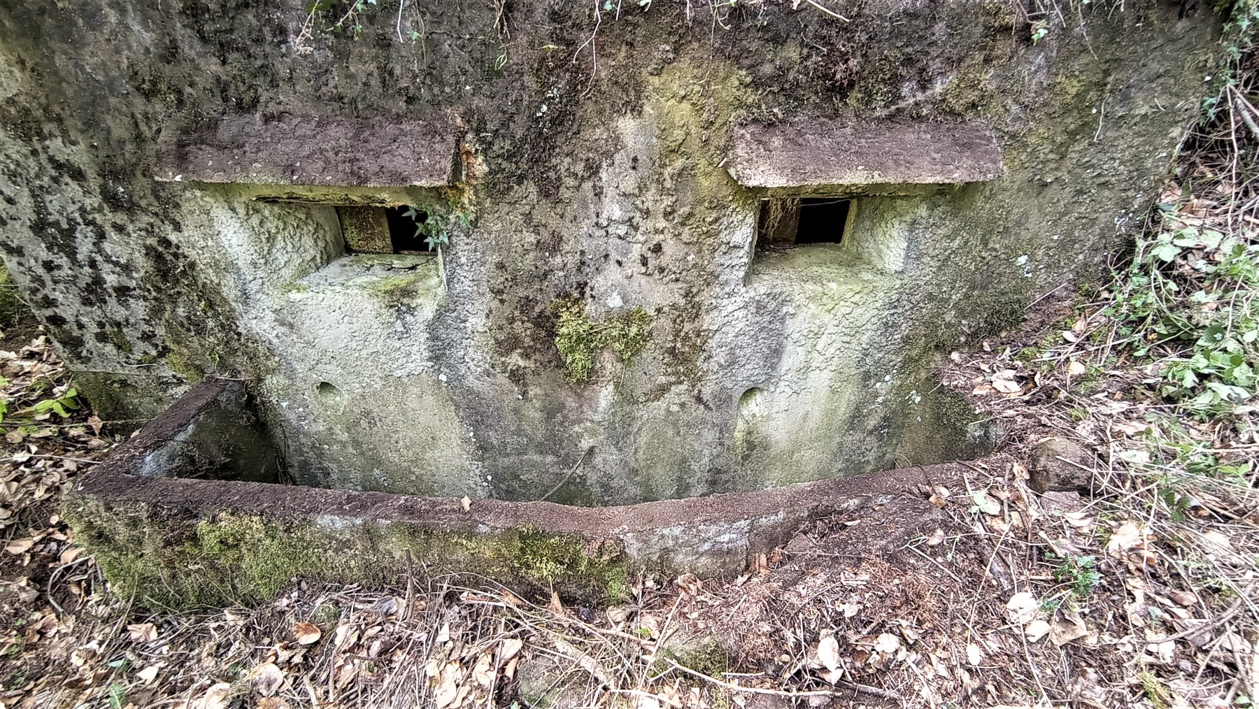Ligne Maginot - M10 - NONNENHARDT EST 3 - (Blockhaus pour arme infanterie) - Les deux créneaux pour mitrailleuse Hotchkiss et la fosse à douille - Baptiste GAUDIN