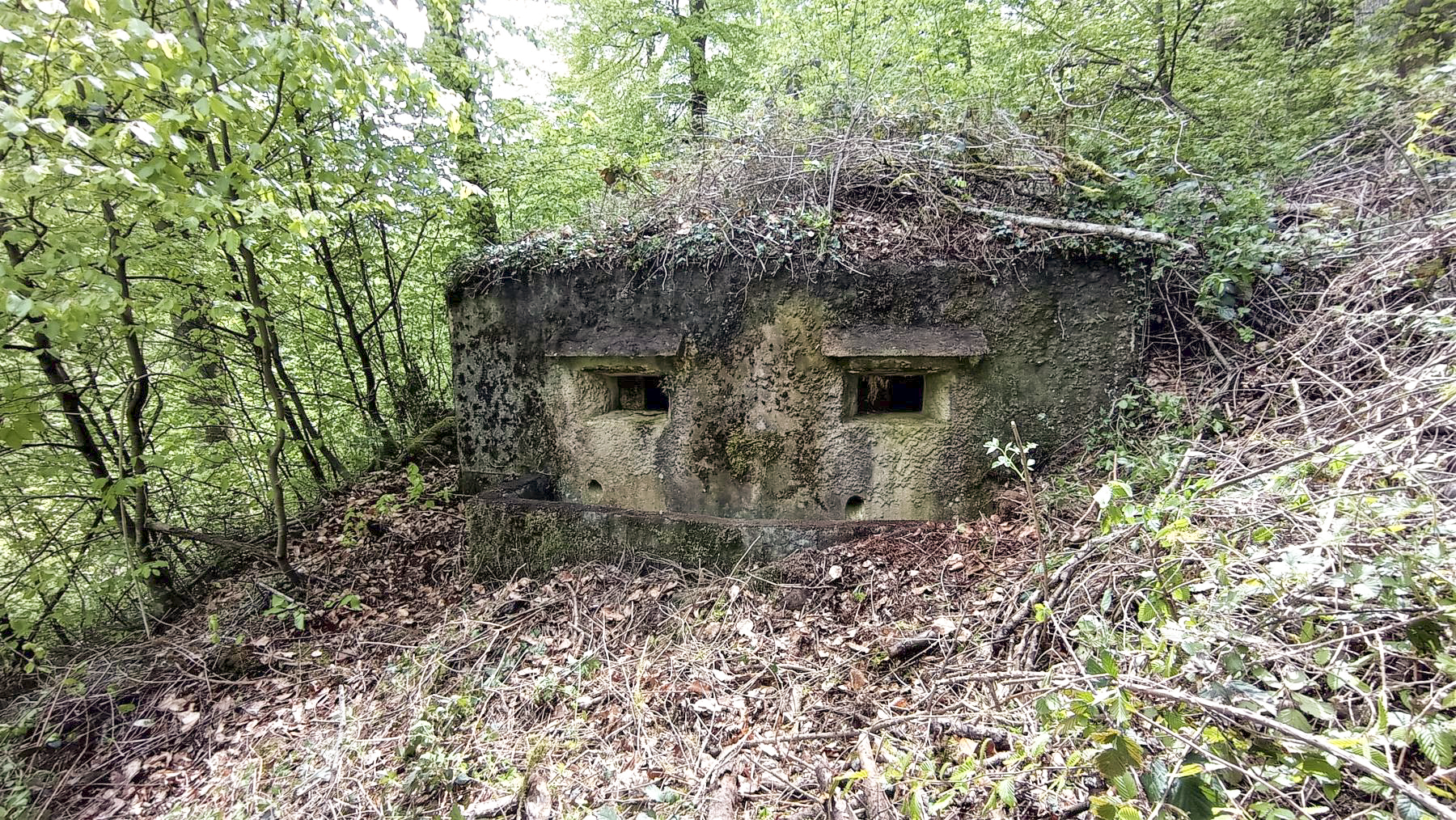 Ligne Maginot - M10 - NONNENHARDT EST 3 - (Blockhaus pour arme infanterie) - La façade avant - Baptiste GAUDIN