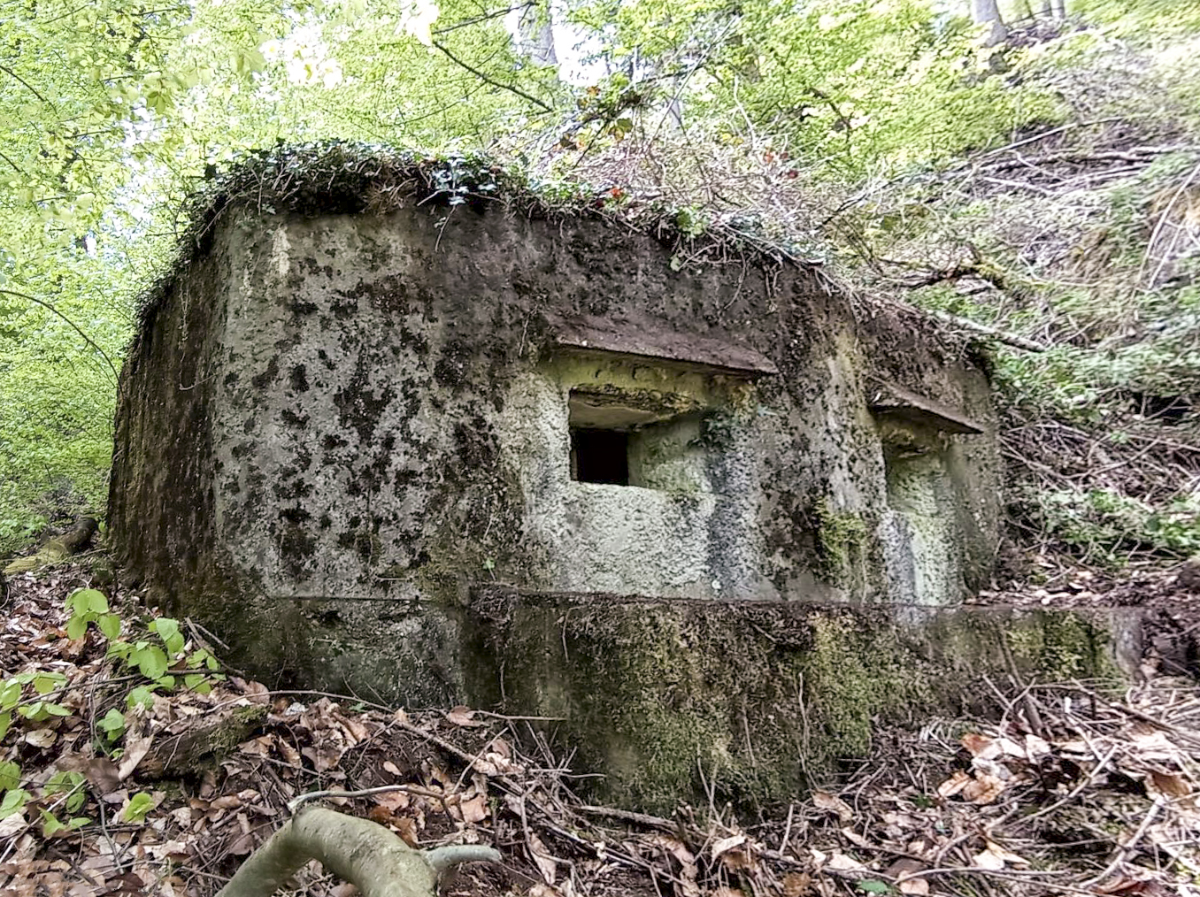 Ligne Maginot - M10 - NONNENHARDT EST 3 - (Blockhaus pour arme infanterie) - La façade avant et le mur droit - Baptiste GAUDIN