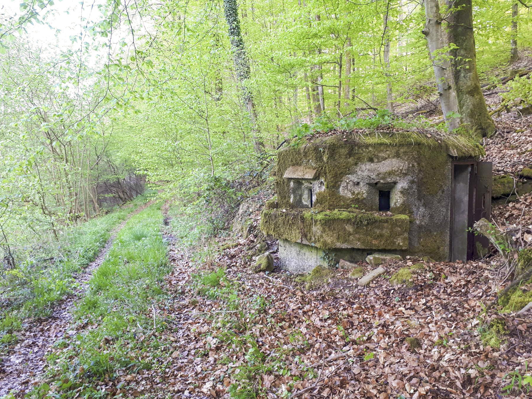 Ligne Maginot - FM28 - TRAUTBACH 2 - (Blockhaus pour arme infanterie) - Le blockhaus bordant le chemin du Trautbach - Gregory Fuchs