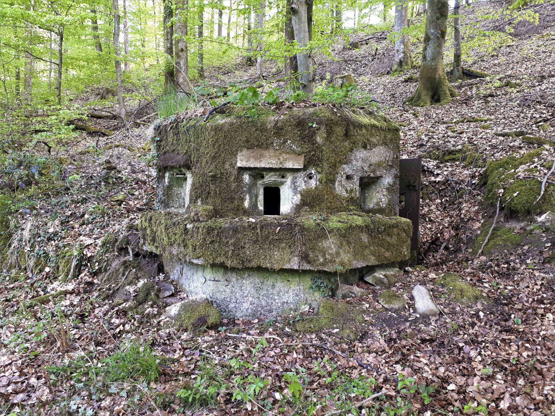 Ligne Maginot - FM28 - TRAUTBACH 2 - (Blockhaus pour arme infanterie) - Les créneaux frontaux - Gregory Fuchs