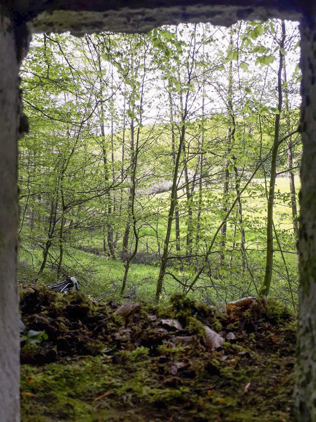 Ligne Maginot - FM28 - TRAUTBACH 2 - (Blockhaus pour arme infanterie) - Vue du créneau frontal, sur le vallon de Weibersloch - Gregory Fuchs
