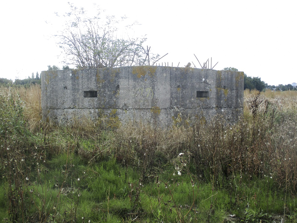 Ligne Maginot - BEF 272 - DRONKAERT NORD 1 - (Blockhaus pour arme infanterie) - Le blockhaus vu depuis le chemin pavé des Meurins. - Smardz Félix