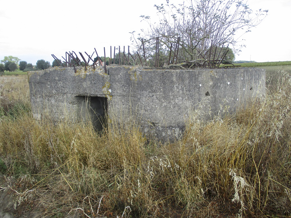 Ligne Maginot - BEF 272 - DRONKAERT NORD 1 - (Blockhaus pour arme infanterie) -  - Smardz Félix