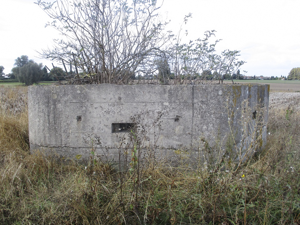 Ligne Maginot - BEF 272 - DRONKAERT NORD 1 - (Blockhaus pour arme infanterie) -  - Smardz Félix