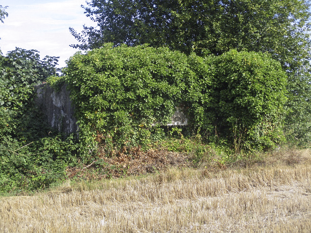 Ligne Maginot - BEF 276 - Le BERQUIER Centre 1 (Blockhaus pour canon) - Photographié depuis la rue du Chemin vert. - Smardz Félix
