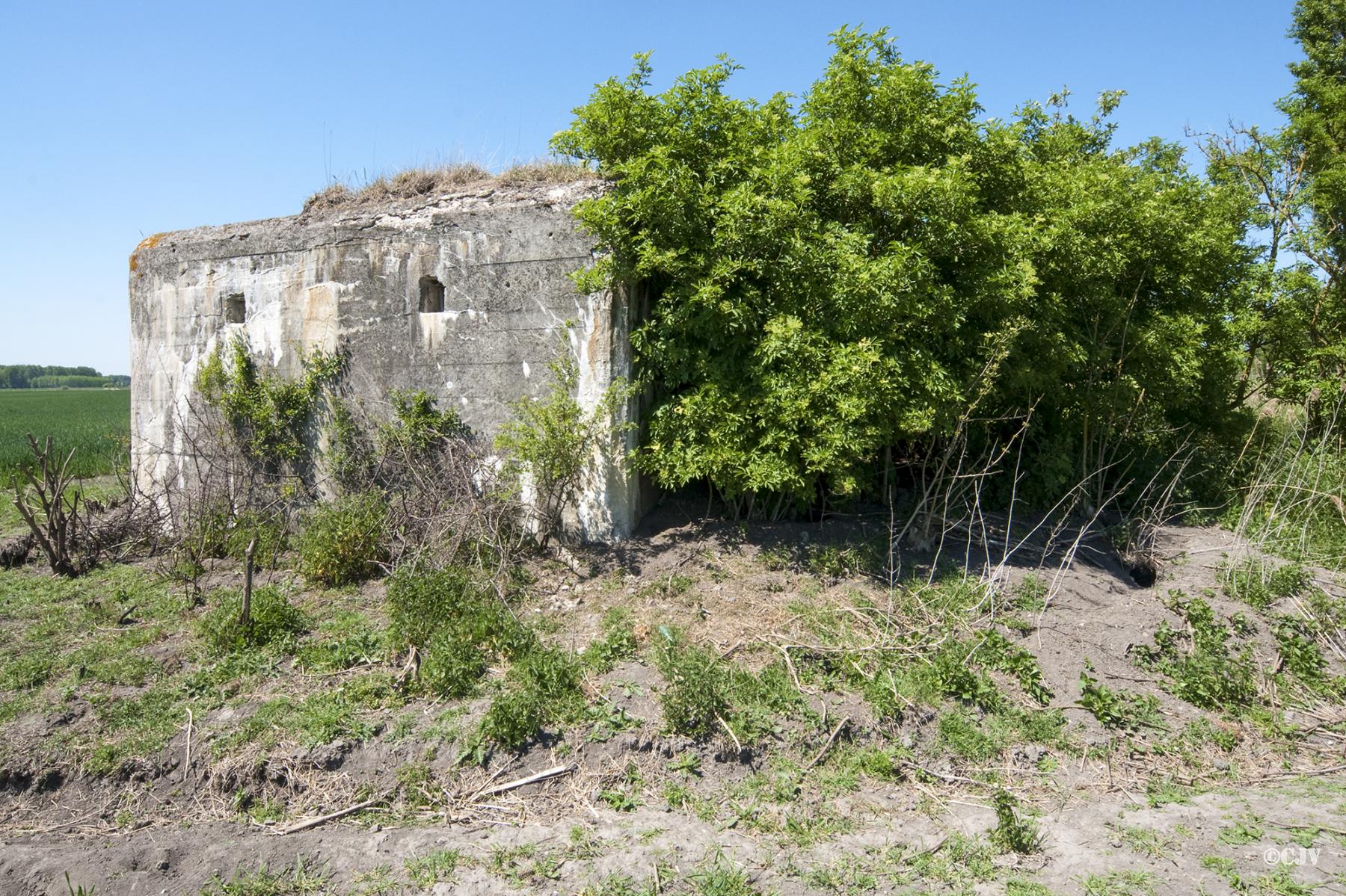 Ligne Maginot - BEF 286 - LE PATOULAIS NORD - (Blockhaus pour canon) -  - Caspar Vermeulen