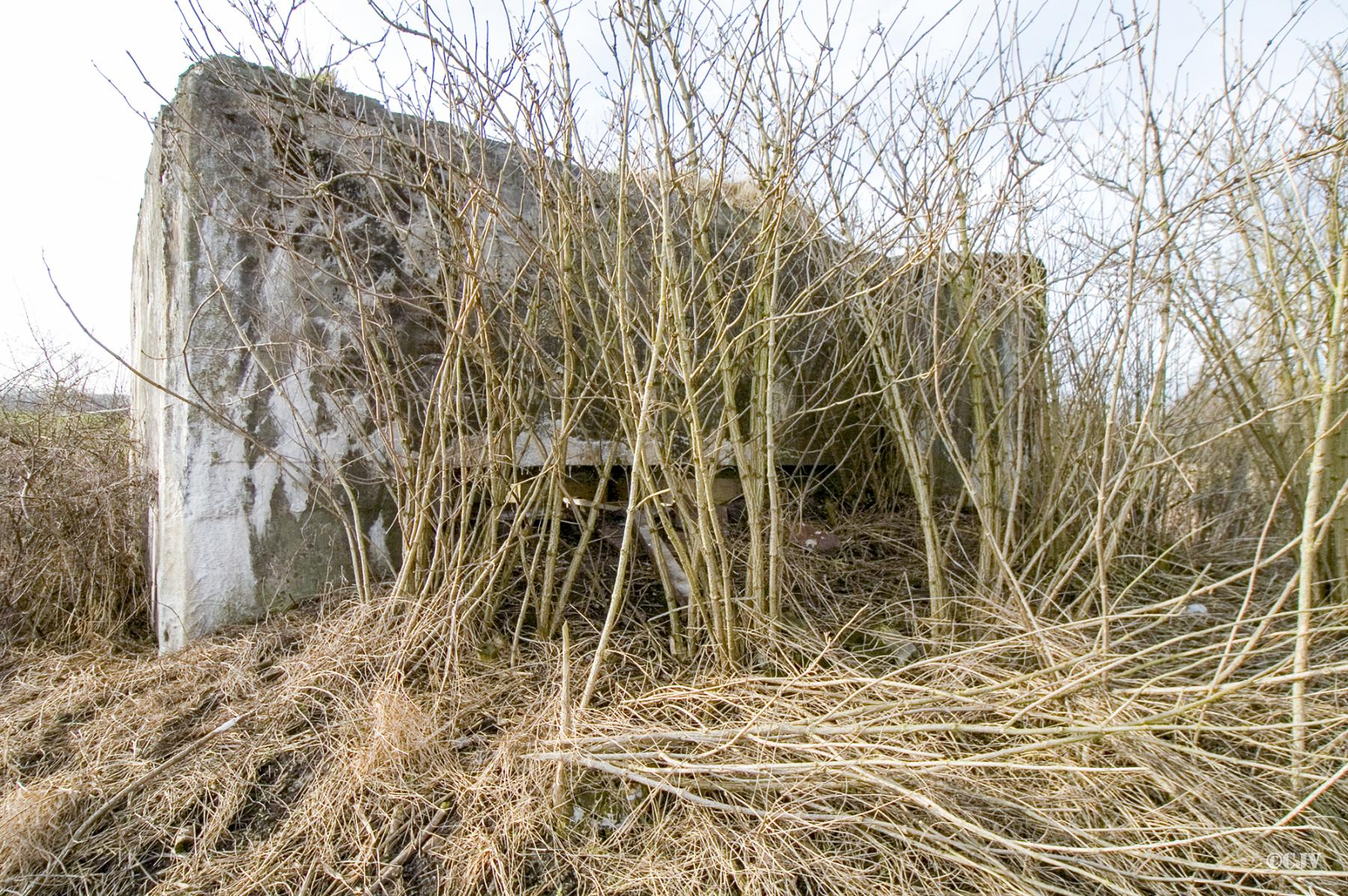 Ligne Maginot - BEF 286 - LE PATOULAIS NORD - (Blockhaus pour canon) -  - Caspar Vermeulen