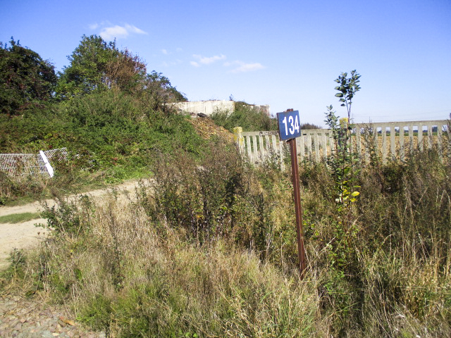 Ligne Maginot - BEF 294 - L'EPINE NORD OUEST - (Blockhaus pour canon) - Blockhaus dans son environnement à proximité du PN N° 134 de la voie ferrée Somain Halluin. - Smardz Félix