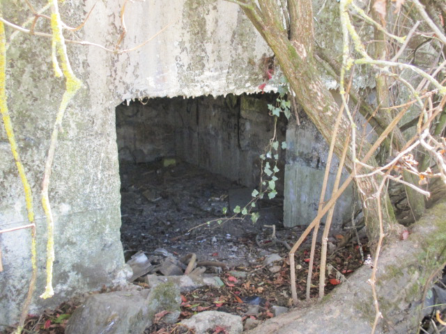 Ligne Maginot - BEF 294 - L'EPINE NORD OUEST - (Blockhaus pour canon) -  - Smardz Félix