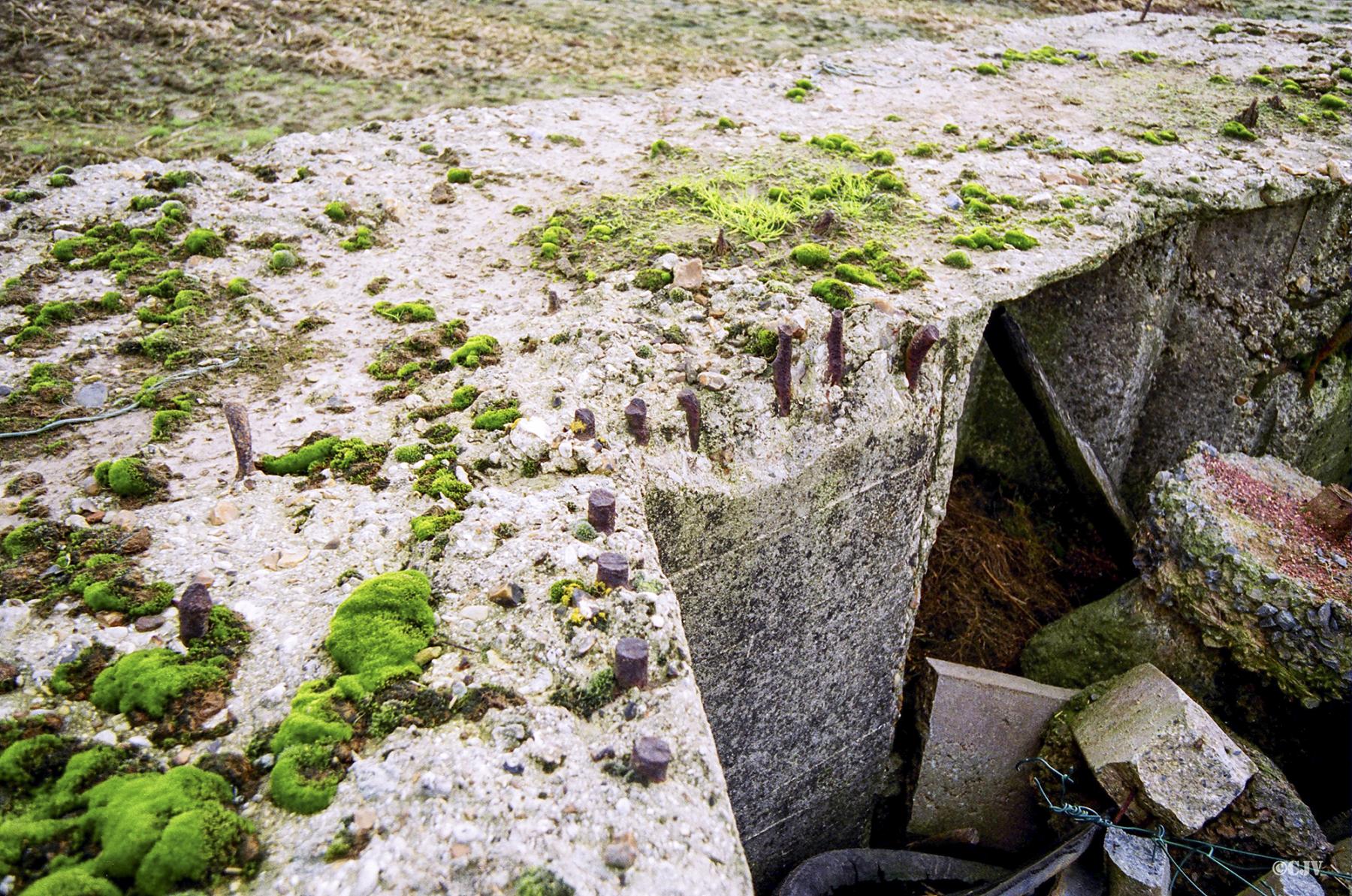Ligne Maginot - BEF 335 - L'EPINETTE EST - (Blockhaus pour arme infanterie) -  - Caspar Vermeulen