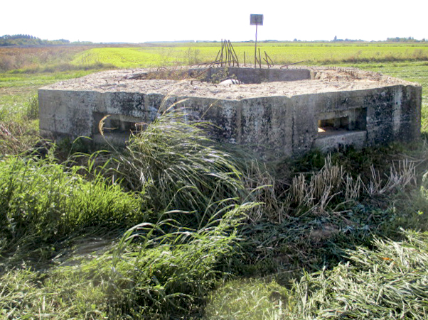 Ligne Maginot - BEF 335 - L'EPINETTE EST - (Blockhaus pour arme infanterie) - Face orientée côté nord. - Smardz Félix