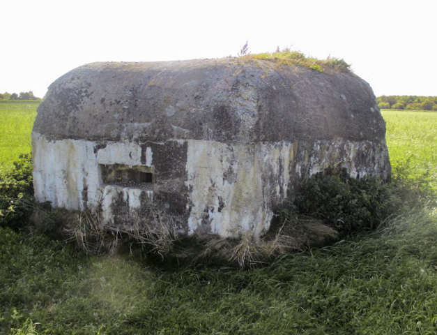Ligne Maginot - BEF 321 - CHAPELLE aux ARBRES 4 (Blockhaus pour arme infanterie) -  - Smardz Félix