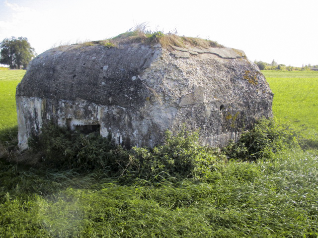 Ligne Maginot - BEF 321 - CHAPELLE aux ARBRES 4 (Blockhaus pour arme infanterie) -  - Smardz Félix