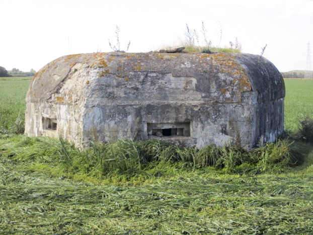 Ligne Maginot - BEF 320 - CHAPELLE aux ARBRES 2 (Blockhaus pour arme infanterie) -  - Smardz Félix