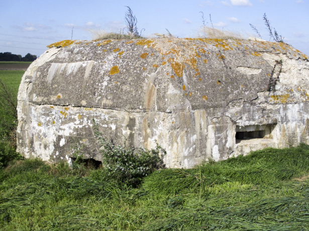 Ligne Maginot - BEF 320 - CHAPELLE aux ARBRES 2 (Blockhaus pour arme infanterie) -  - Smardz Félix