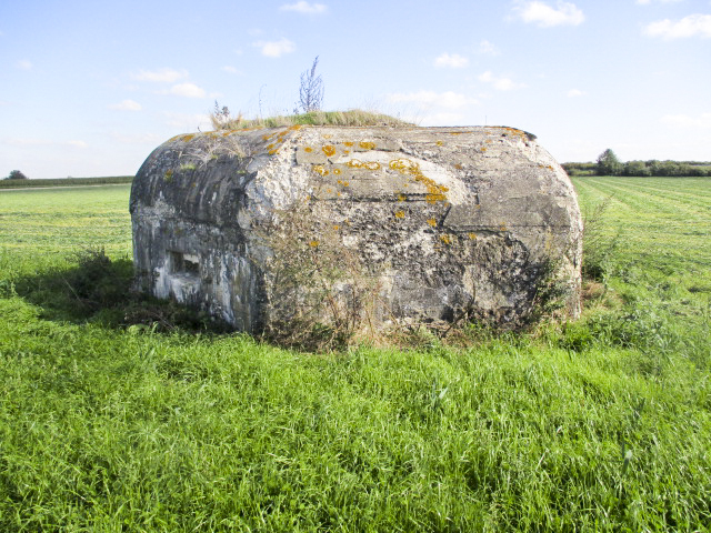 Ligne Maginot - BEF 320 - CHAPELLE aux ARBRES 2 (Blockhaus pour arme infanterie) -  - Smardz Félix