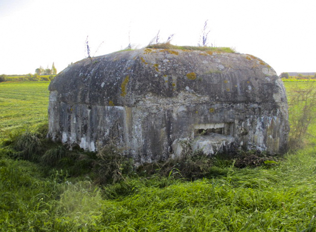 Ligne Maginot - BEF 320 - CHAPELLE aux ARBRES 2 (Blockhaus pour arme infanterie) -  - Smardz Félix