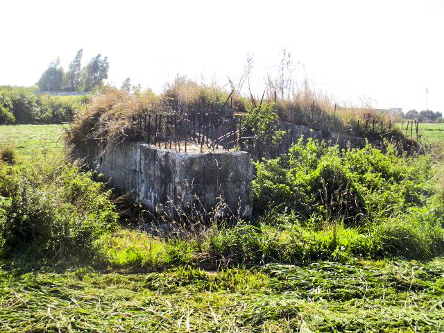 Ligne Maginot - BEF 665 - CHAPELLE AUX ARBRES 5 - (Blockhaus pour arme infanterie) - Blockhaus dans son environnement. - Smardz Félix