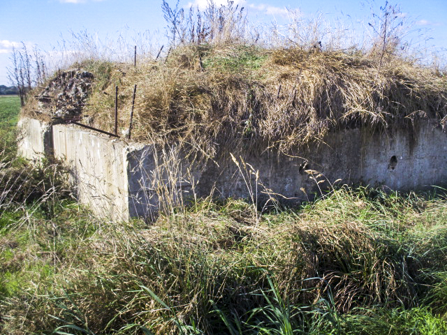 Ligne Maginot - BEF 665 - CHAPELLE AUX ARBRES 5 - (Blockhaus pour arme infanterie) -  - Smardz Félix