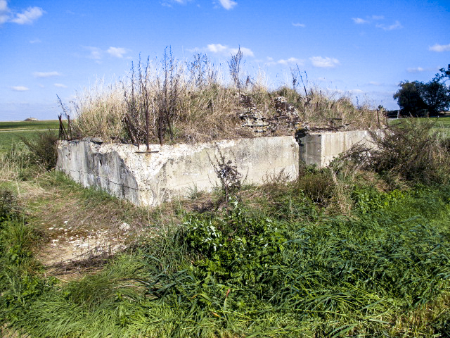 Ligne Maginot - BEF 665 - CHAPELLE AUX ARBRES 5 - (Blockhaus pour arme infanterie) -  - Smardz Félix