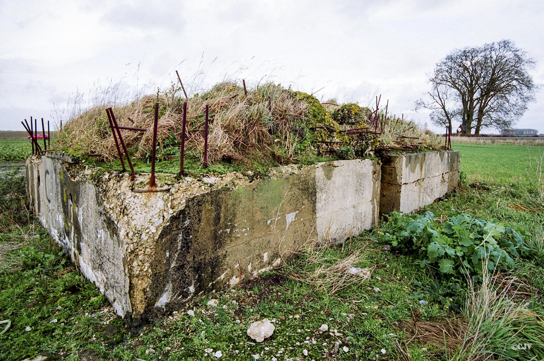 Ligne Maginot - BEF 665 - CHAPELLE AUX ARBRES 5 - (Blockhaus pour arme infanterie) -  - Caspar Vermeulen