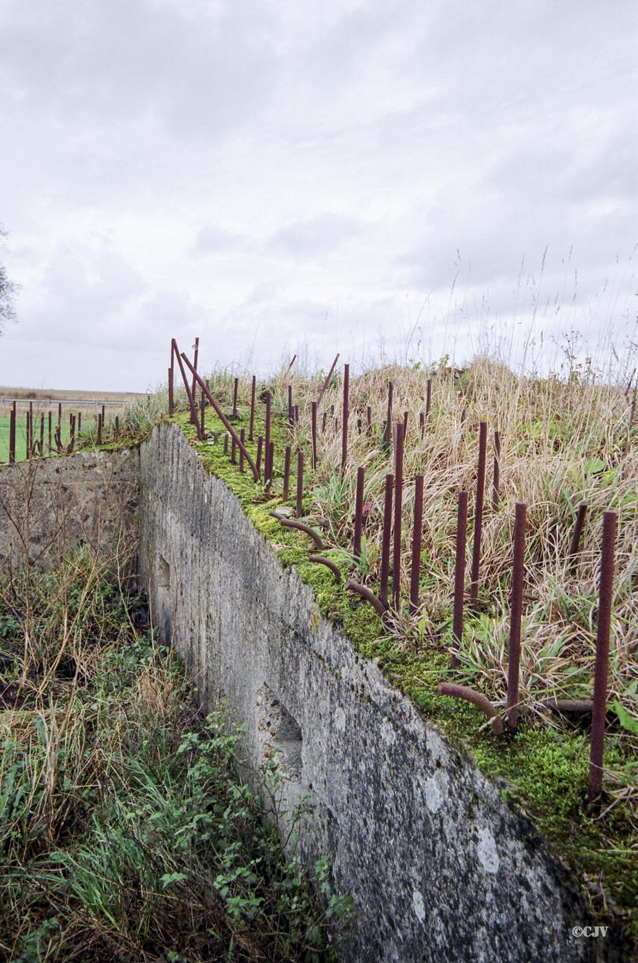 Ligne Maginot - BEF 665 - CHAPELLE AUX ARBRES 5 - (Blockhaus pour arme infanterie) -  - Caspar Vermeulen