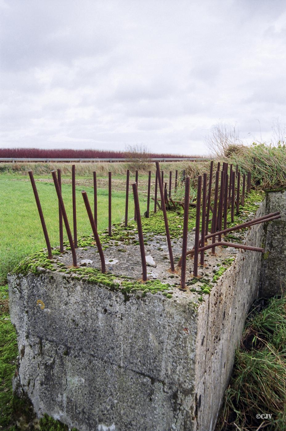 Ligne Maginot - BEF 665 - CHAPELLE AUX ARBRES 5 - (Blockhaus pour arme infanterie) -  - Caspar Vermeulen