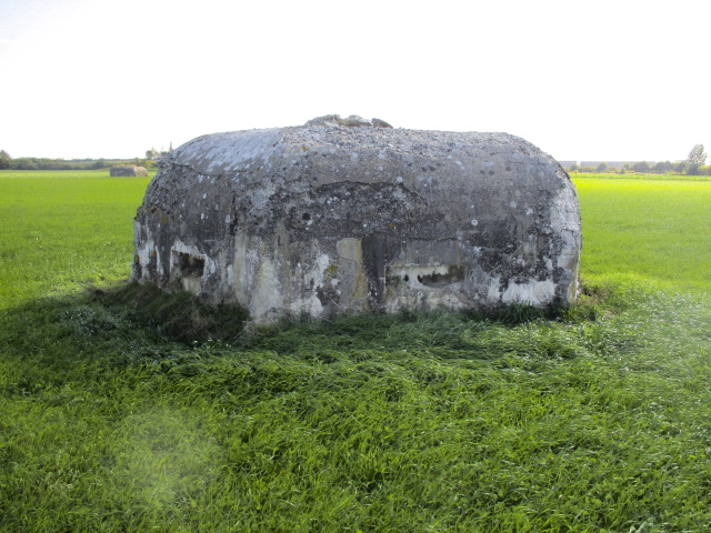 Ligne Maginot - BEF 663 - CHAPELLE AUX ARBRES 3 - (Blockhaus pour arme infanterie) -  - Smardz Félix