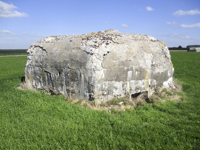 Ligne Maginot - BEF 663 - CHAPELLE AUX ARBRES 3 - (Blockhaus pour arme infanterie) -  - Smardz Félix