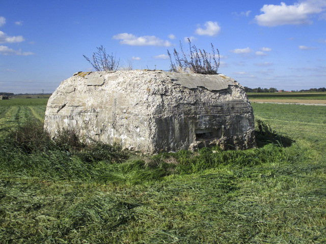 Ligne Maginot - BEF 664 - CHAPELLE AUX ARBRES 1 - (Blockhaus pour arme infanterie) - Face orientée côté sud-est - Smardz Félix