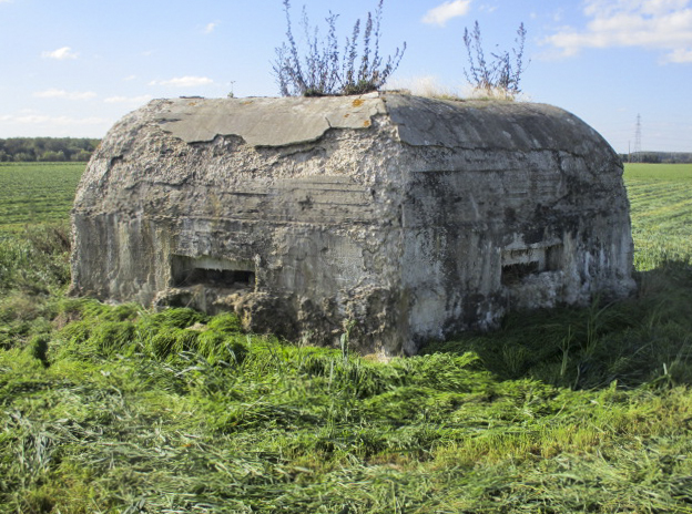 Ligne Maginot - BEF 664 - CHAPELLE AUX ARBRES 1 - (Blockhaus pour arme infanterie) - Face orientée côté nord-est - Smardz Félix