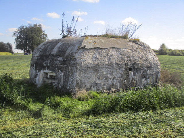 Ligne Maginot - BEF 664 - CHAPELLE AUX ARBRES 1 - (Blockhaus pour arme infanterie) - Face orientée côté nord-ouest - Smardz Félix
