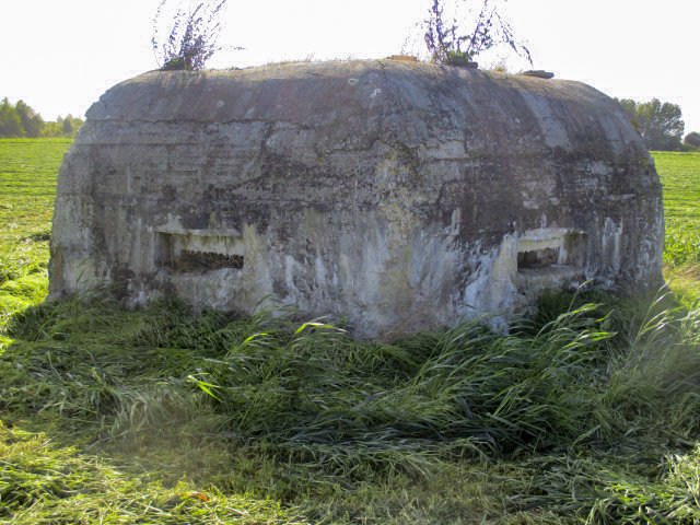Ligne Maginot - BEF 664 - CHAPELLE AUX ARBRES 1 - (Blockhaus pour arme infanterie) - Face orientée côté nord - Smardz Félix