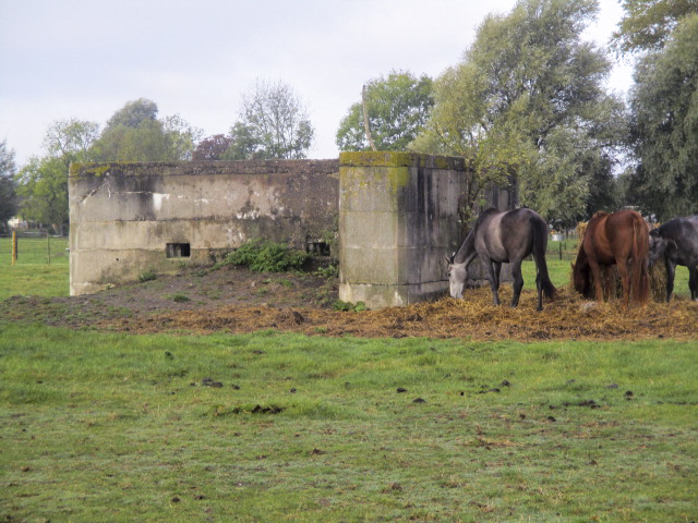 Ligne Maginot - BEF 341 - BLONDE RUE NORD - (Blockhaus pour arme infanterie) - Vu du chemin du circuit de la Commanderie. - Smardz Félix
