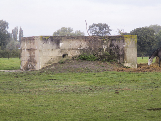 Ligne Maginot - BEF 341 - BLONDE RUE NORD - (Blockhaus pour arme infanterie) - Vu du chemin du circuit de la Commanderie. - Smardz Félix